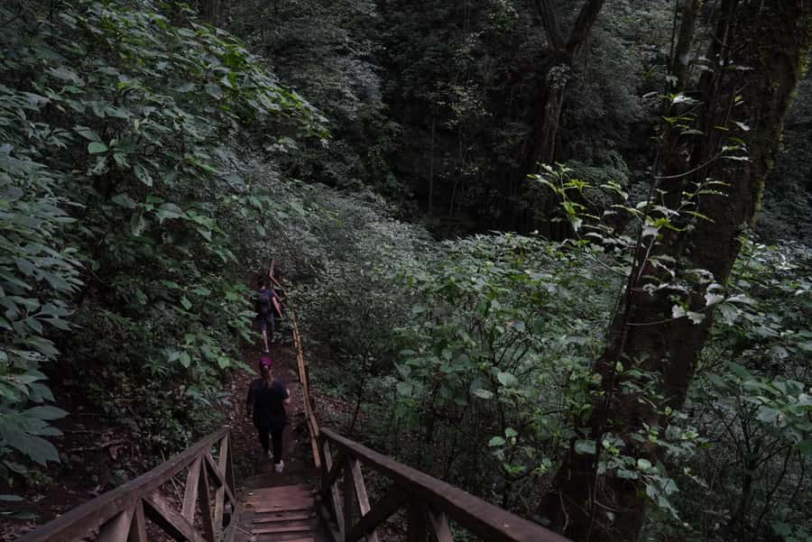 From Antigua Guatemala: Birdwatching and Scenic Hiking Tour - Reaching the summit for volcano and valley views