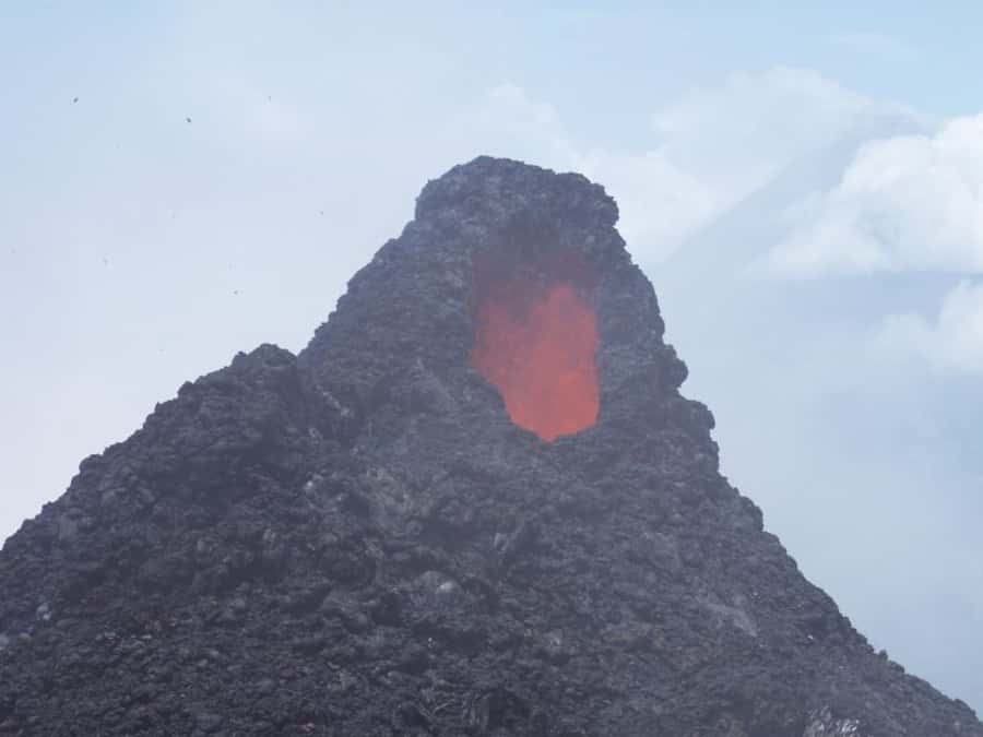 From Antigua: Pacaya Volcano Day Hike - What your $165 covers