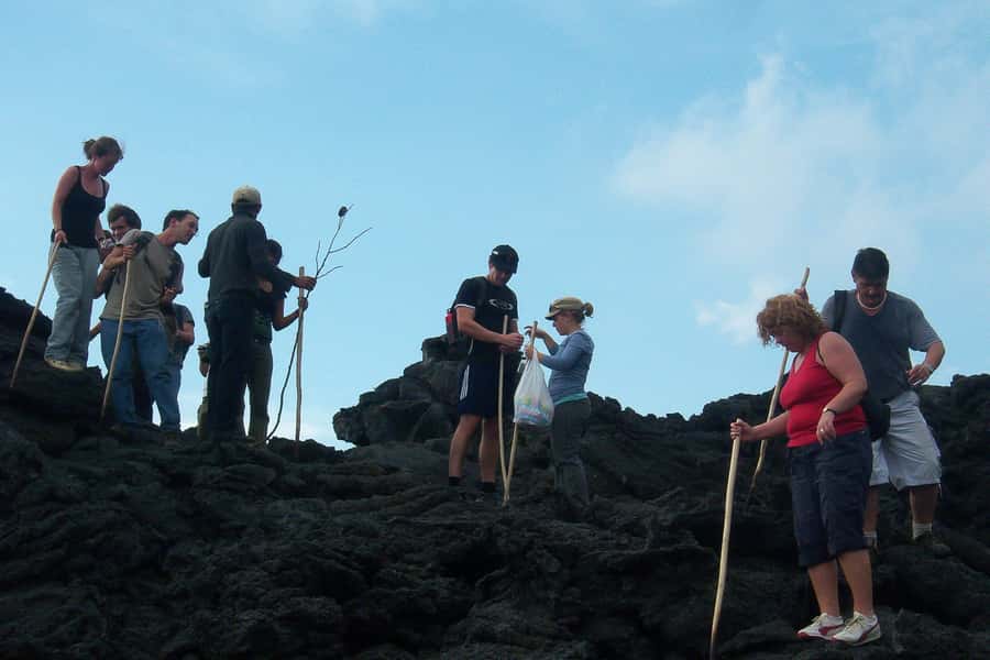 From Antigua: Pacaya Volcano Trek - Marshmallows warmed by the volcano