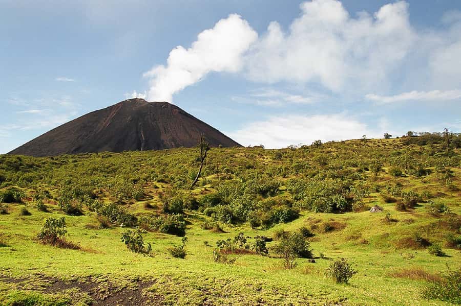 From Antigua: Pacaya Volcano Trek - Coming back down and returning to Antigua