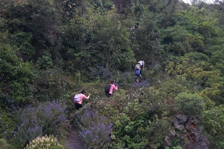 From Antigua to Pacaya Private Tour - Why Pacaya works well as a half-day outing