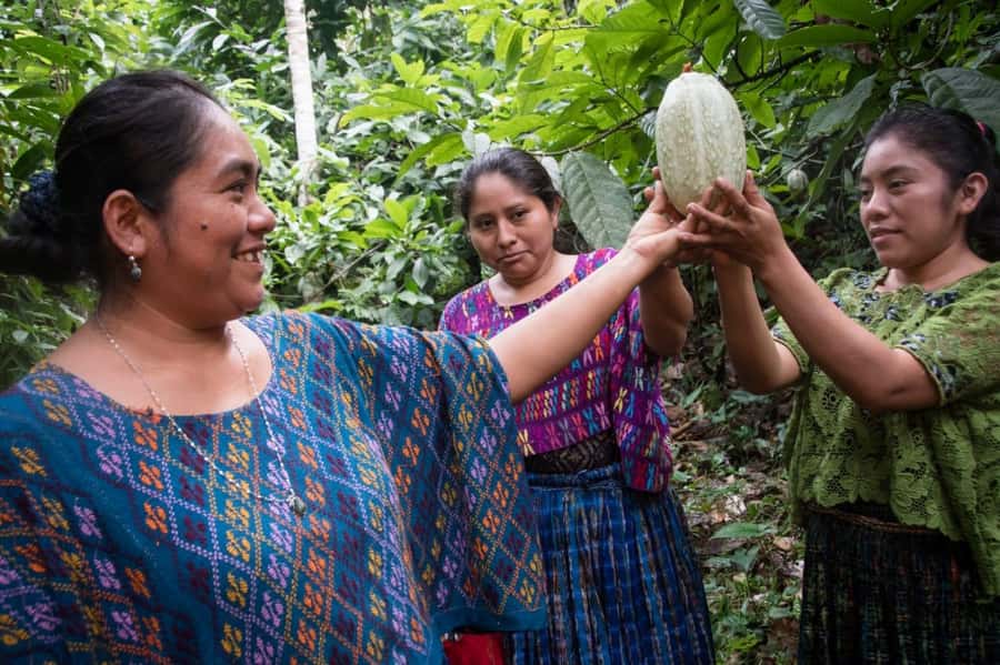 From Cobán: Semuc Champey and cacao tour - Guide quality and private transport