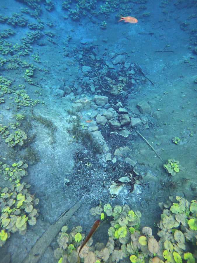 From Flores: Blue Crater Adventure All Inclusive - Who will enjoy this experience most