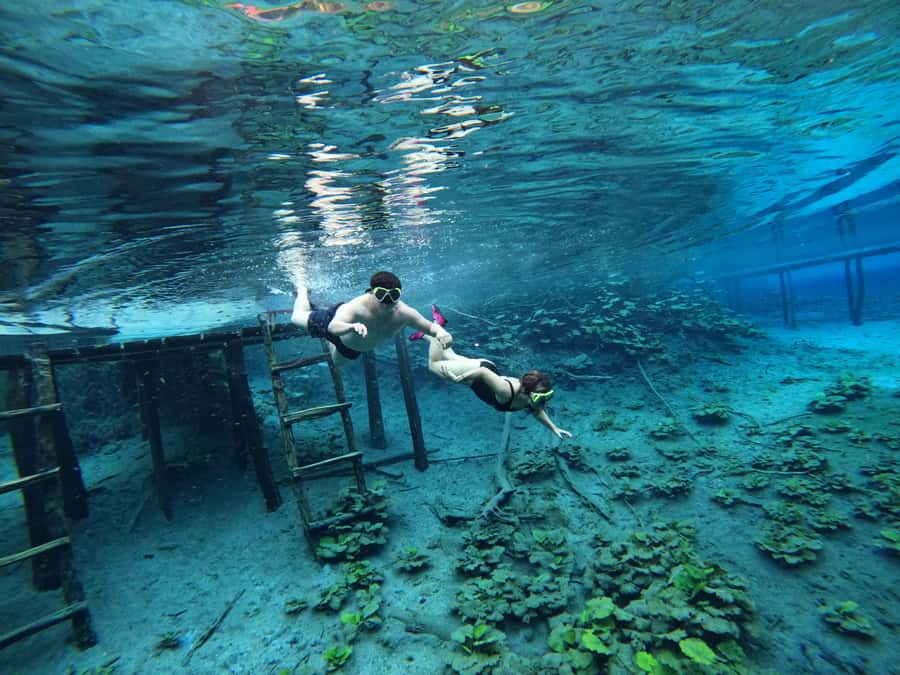 From Flores: Blue Crater Adventure All Inclusive - What the Blue Crater day is really like