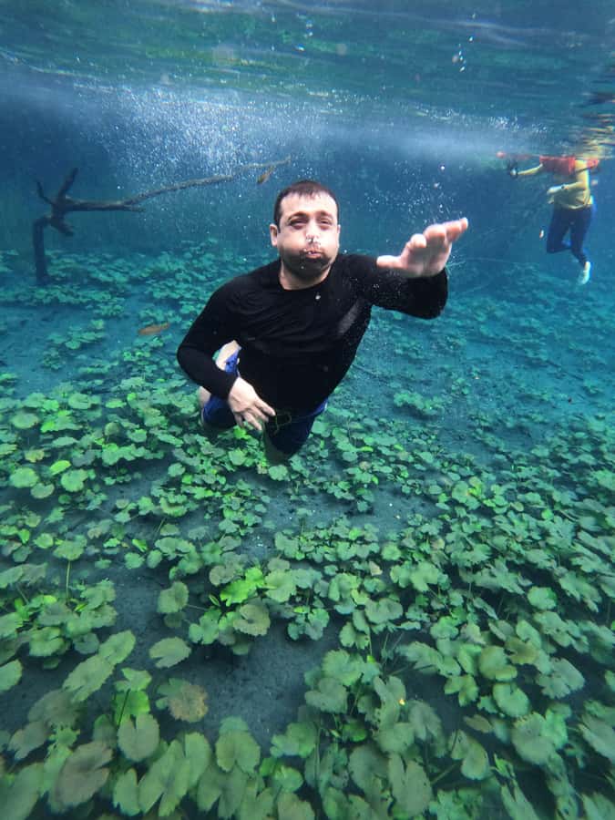 From Flores: Blue Crater All Inclusive - Key points at a glance