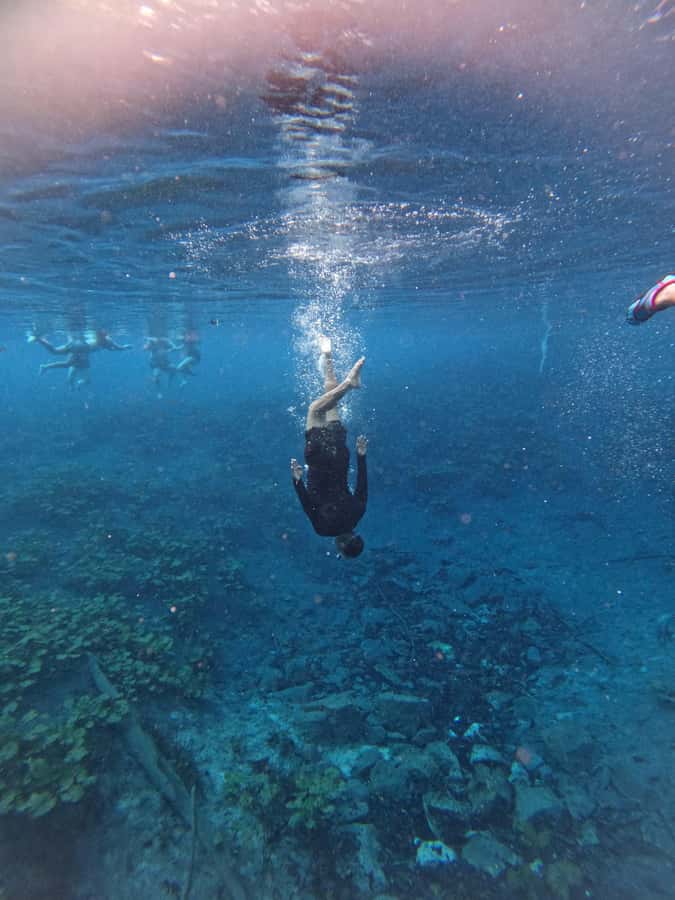 From Flores: Blue Crater private day tour - Who should choose this private day trip?