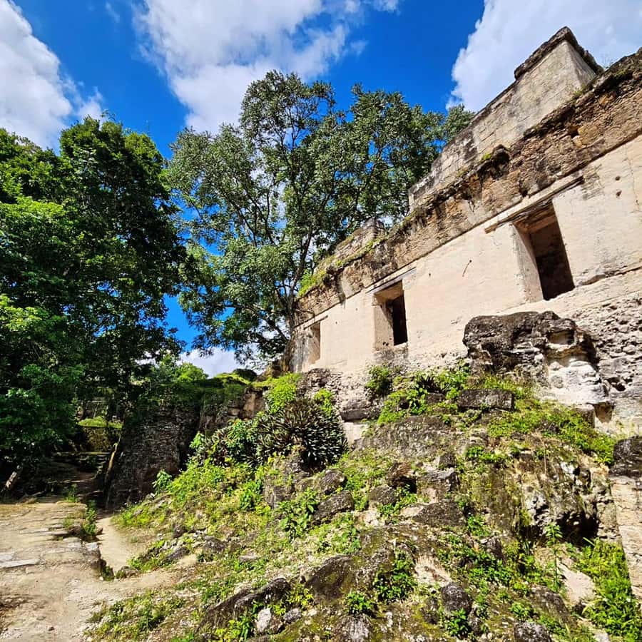 From Flores: Exclusive Tikal Group Tour - Why Tikal deserves a full day from Flores