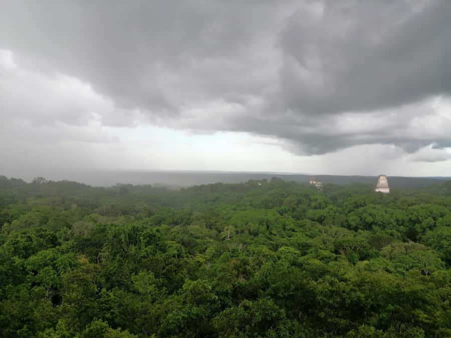 From Flores: Exclusive Tikal Group Tour - Getting oriented at the Tikal Visitor Center