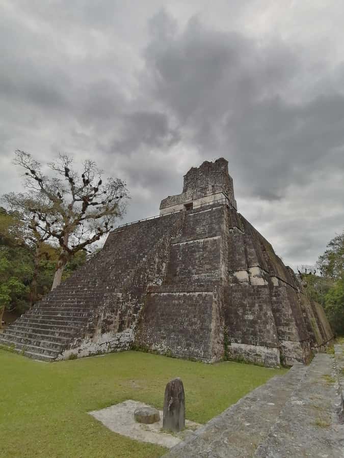 From Flores: Exclusive Tikal Group Tour - Practical tips for a better day