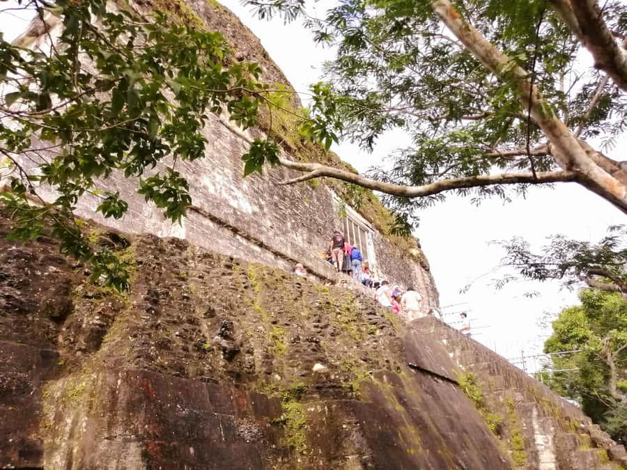 From Flores: Guided Tour to the Ruins of Tikal - Why Tikal works best as a full-day outing
