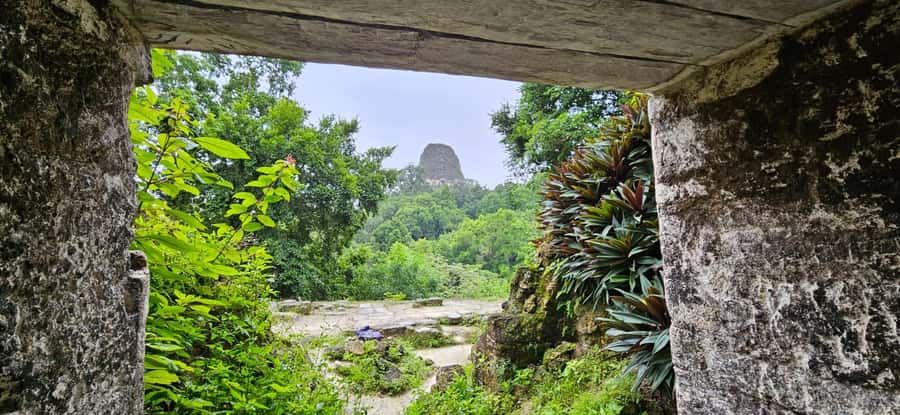 From Flores Guided Tour to Tikal with transportation + lunch - Key points about the Flores to Tikal trip