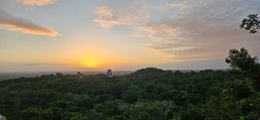 From Flores Guided Tour to Tikal with transportation + lunch - Meeting in Flores and setting out for Tikal