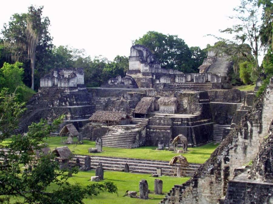 From Flores, Petén: Tikal Mayan Ruins Adventure - Four hours inside Tikal National Park
