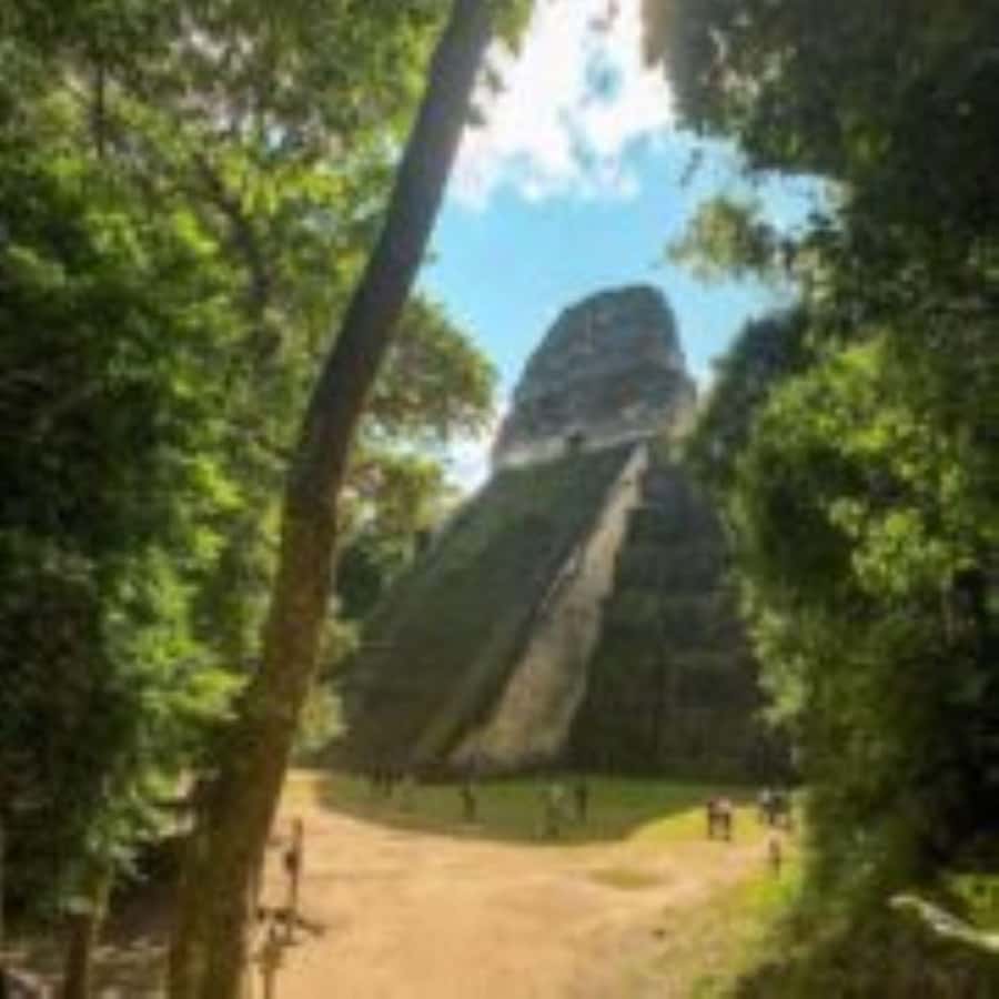 From Flores: Tikal and Yaxhá Day Tour - Entering Tikal with a guide