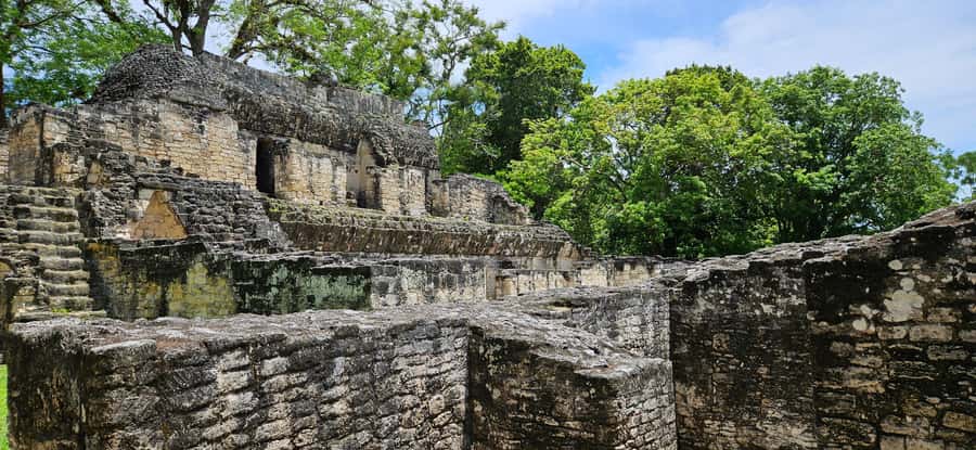 From Flores: Tikal Experience, Exclusive Tour - Key Points Before You Book