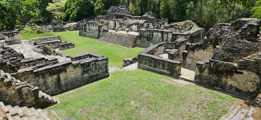 From Flores: Tikal Experience, Exclusive Tour - Why This Flores to Tikal Trip Makes Sense