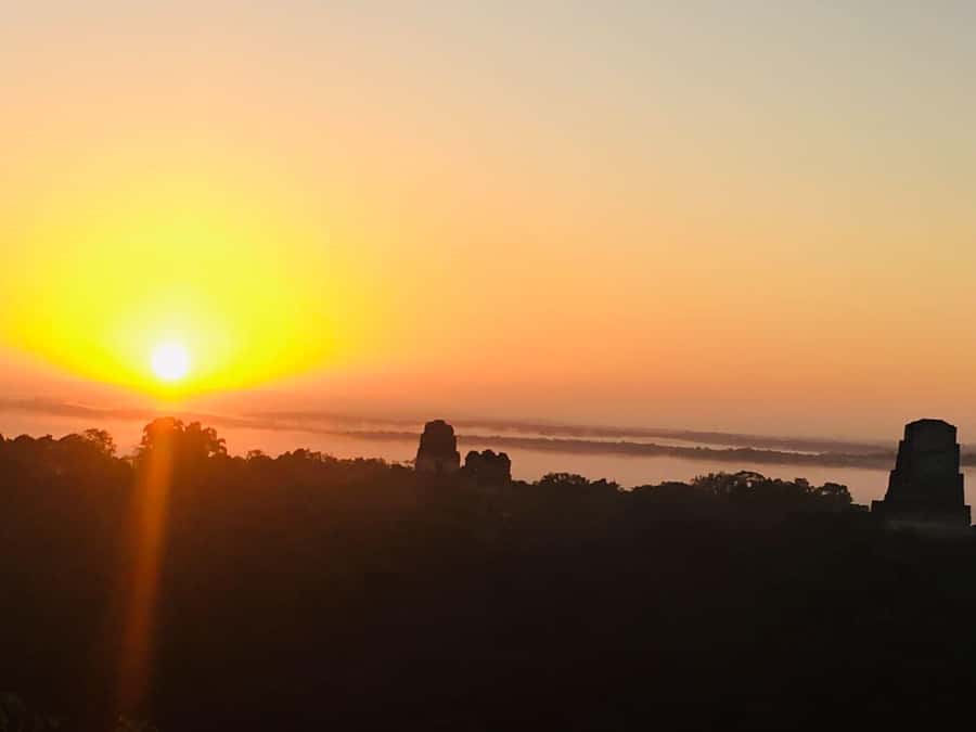 From Flores: Tikal Guided Tour with Transportation - Why this $20 Tikal trip offers good value
