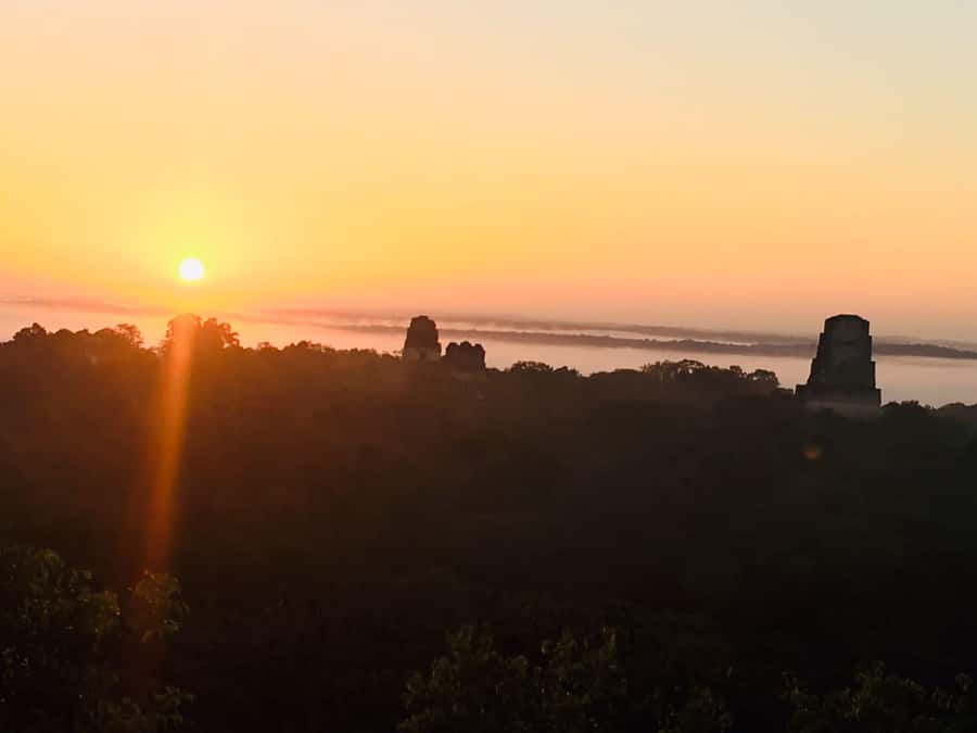From Flores: Tikal Guided Tour with Transportation - Who will enjoy this Tikal tour most