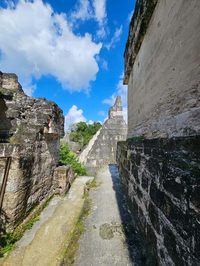 From Flores: Tikal National Park All Inclusive - Why This Tour Works Well From Flores