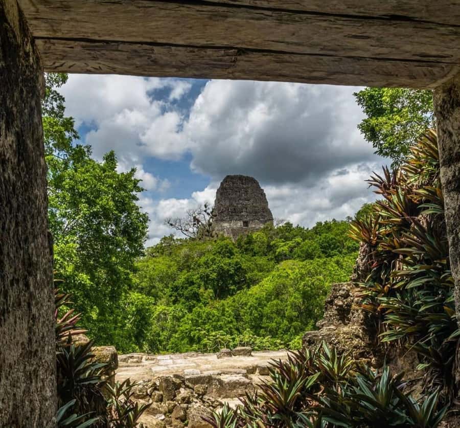 From Flores: Tikal National Park Private Day Trip with Lunch - Why a private visit to Tikal makes sense