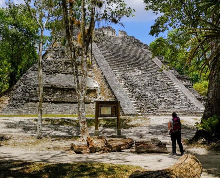From Flores: Tikal National Park Private Day Trip with Lunch - Central Plaza and the Great Jaguar Temple