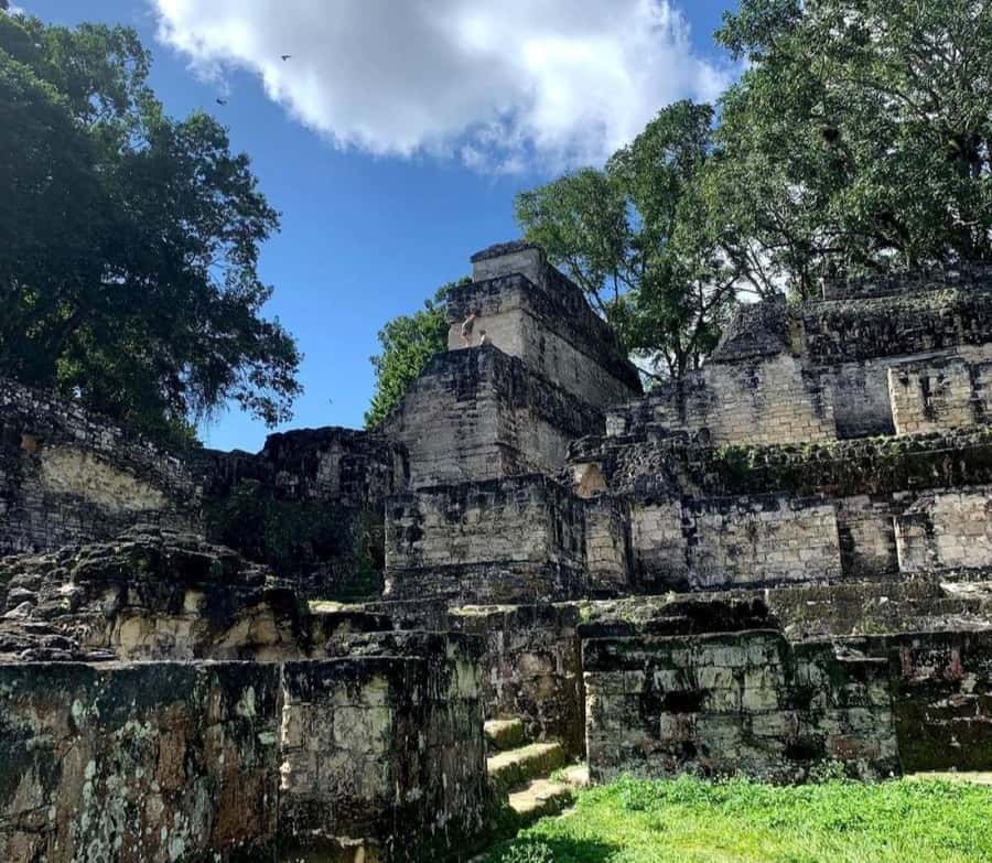 From Flores: Tikal National Park Private Day Trip with Lunch - The return to Flores and the optional island walk