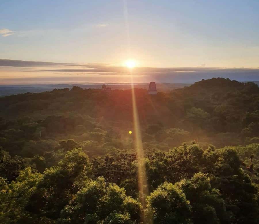 From Flores: Tikal Sunrise Extended Private Tour - Key details before you book