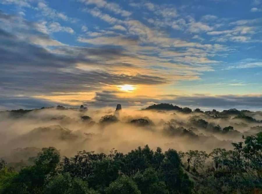 From Flores: Tikal Sunrise Extended Private Tour - Sunrise from the Two-Headed Serpent