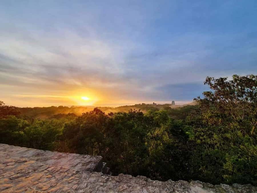 From Flores: Tikal Sunrise Extended Private Tour - The 40-minute walk to Temple IV
