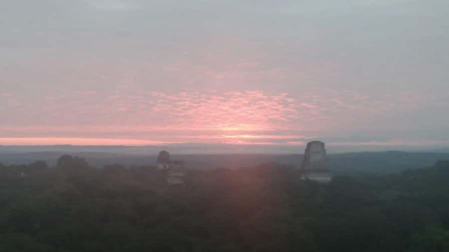 From Flores: Tikal Sunset Tour - Why the afternoon schedule works so well