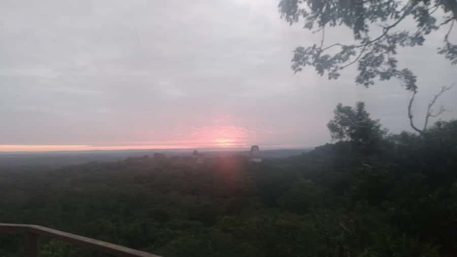 From Flores: Tikal Sunset Tour - Temple IV and the view over the forest