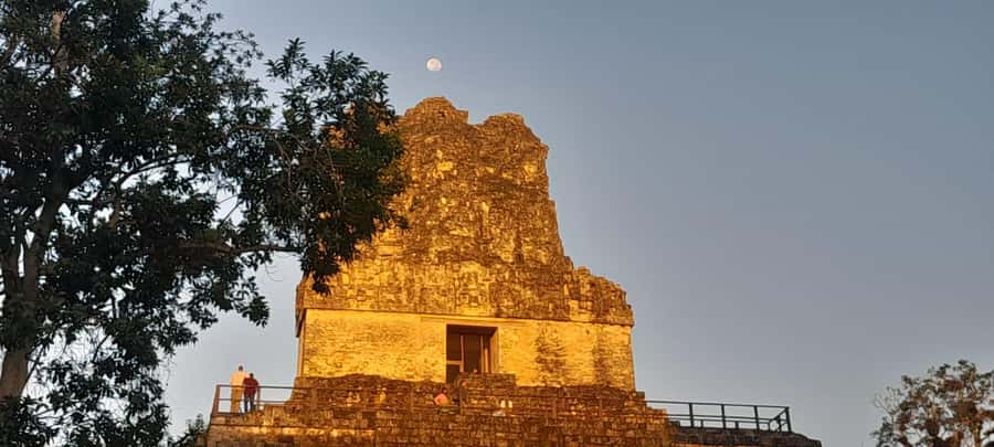 From Flores: Tikal Sunset Tour - Wildlife is part of the Tikal experience