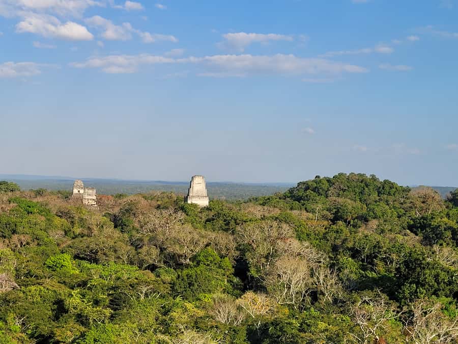From Flores: Tikal VIP Exclusive cultural Tour All inclusive - Food, water, and the day’s practical comforts