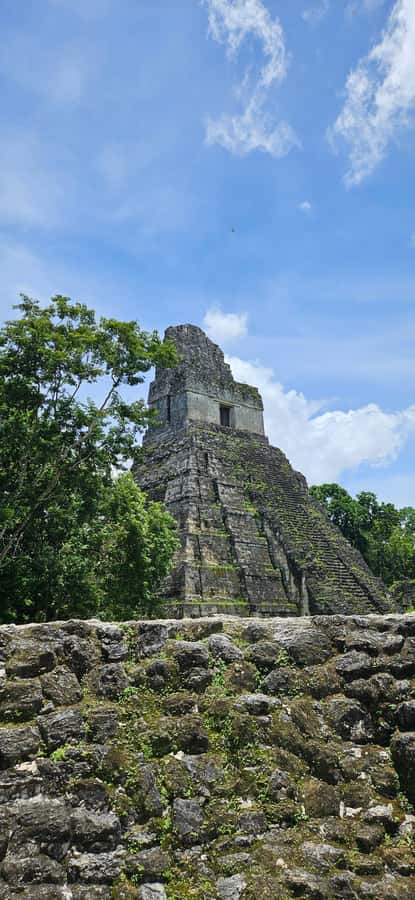 From Flores: Tour Tikal All Inclusive - Why this Tikal trip makes sense from Flores