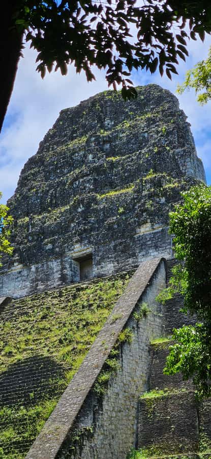 From Flores: Tour Tikal All Inclusive - Who should book this experience