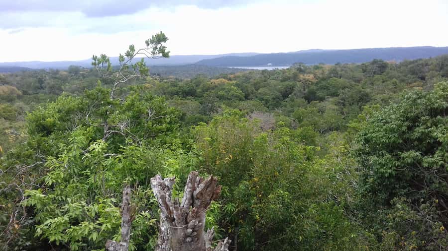 From Flores: Yaxha Ruins Guided Tour - Key points to know before booking