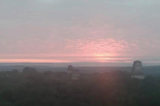 From Flowers Sunset Tour in Tikal - Getting your bearings at the visitor center