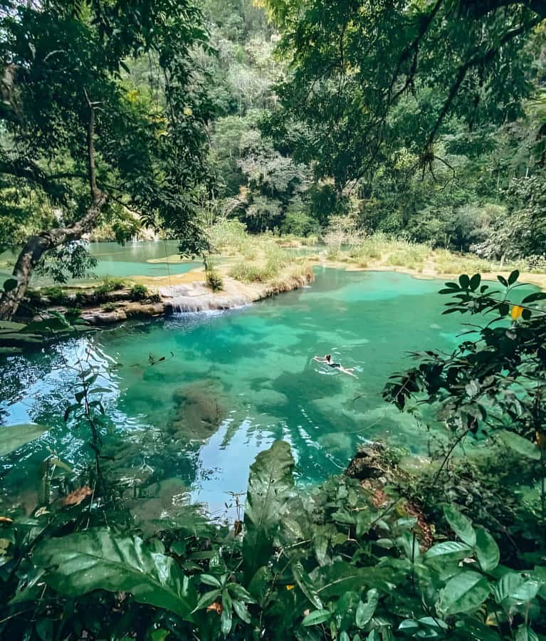 From Guatemala City Semuc Champey in one day. - Cobán and the character of Alta Verapaz