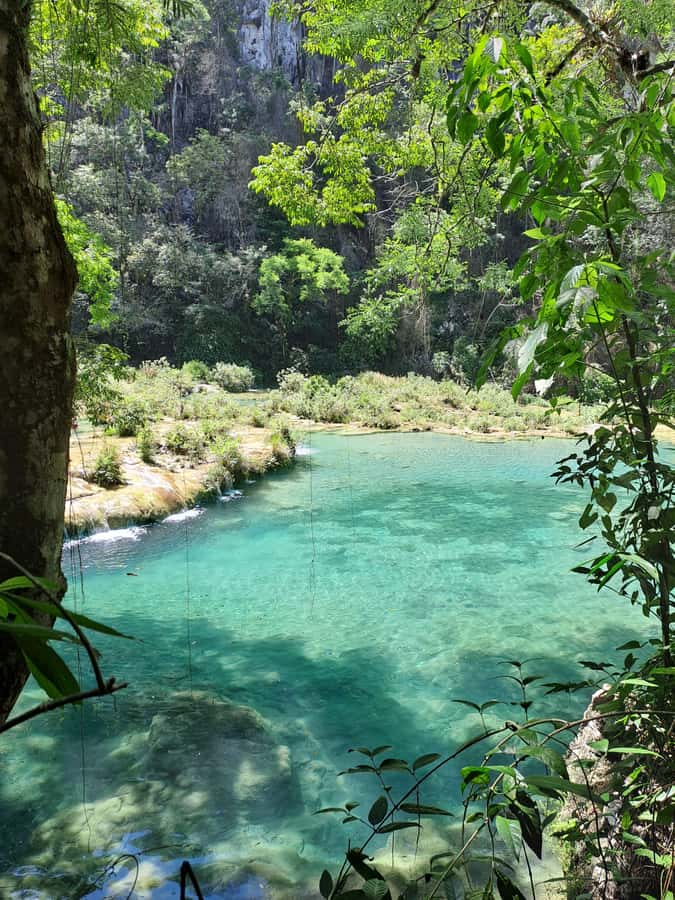 From Guatemala City to Semuc Champey in one day. - Cobán and the cardamom of Alta Verapaz