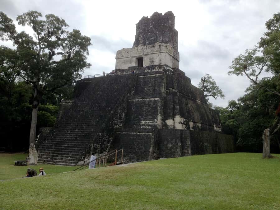 From San Ignacio: Tikal Maya Site Day-Trip with Local Lunch - Climbing Temples and Watching the Jungle