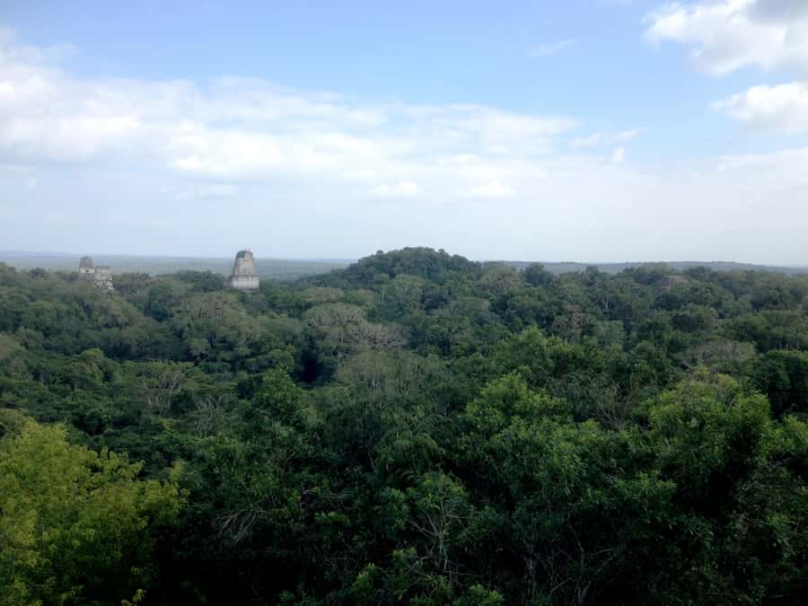 From San Ignacio: Tikal Maya Site Day-Trip with Local Lunch - Local Lunch After the Ruins