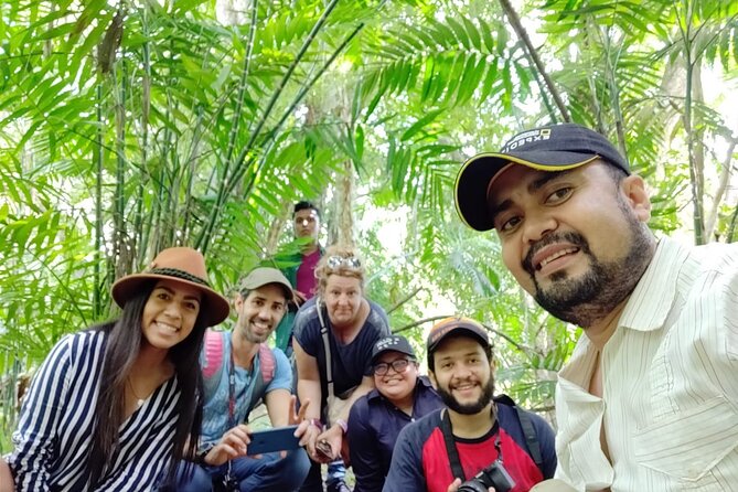Full-Day Shared Tour to Tikal from Flores Peten with Lunch - Pyramids, Views, and the Physical Side of the Visit