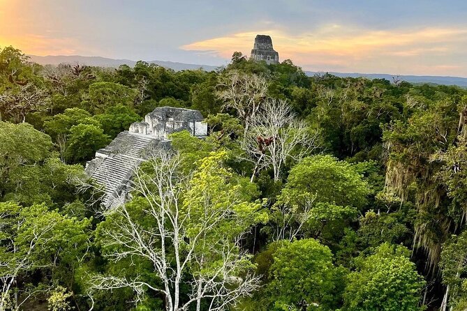 Full-Day Shared Tour to Tikal from Flores Peten with Lunch - The Return to Flores