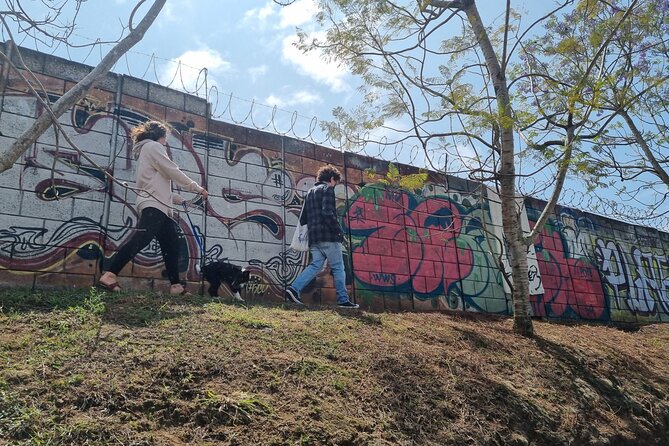 Graffiti Walking Tour in 4 Grados Norte Guatemala City - Who will enjoy this Guatemala City art walk?