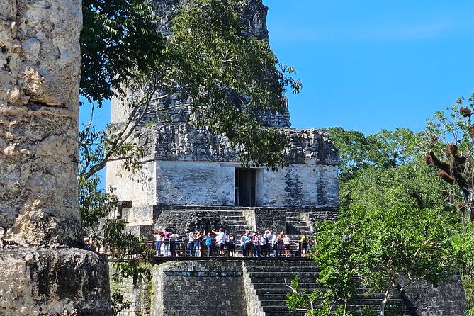 Guided Tour of Tikal from Flores with Lunch - Why Tikal makes a worthwhile day from Flores