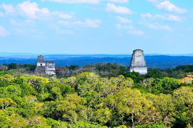 Guided Tour of Tikal from Flores with Lunch - Complexes Q and R: a quieter start