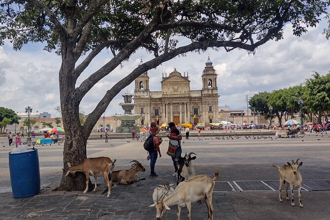 Half-Day Historical Tour of Guatemala City - Key Points at a Glance