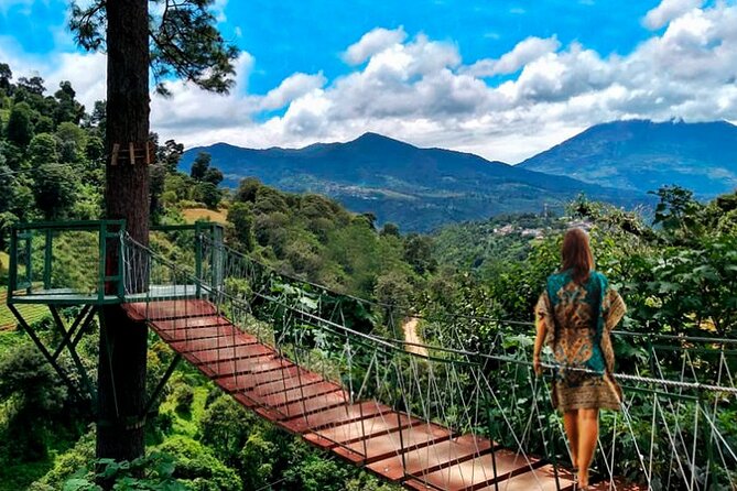 Half Day Private Tour between Avocado Trees in Antigua - Canopy activity, games, and the farm’s playful side