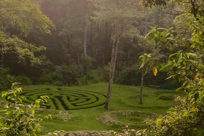 Hike in pristine Forest, a view from above Atitlan - Key points to know before you go