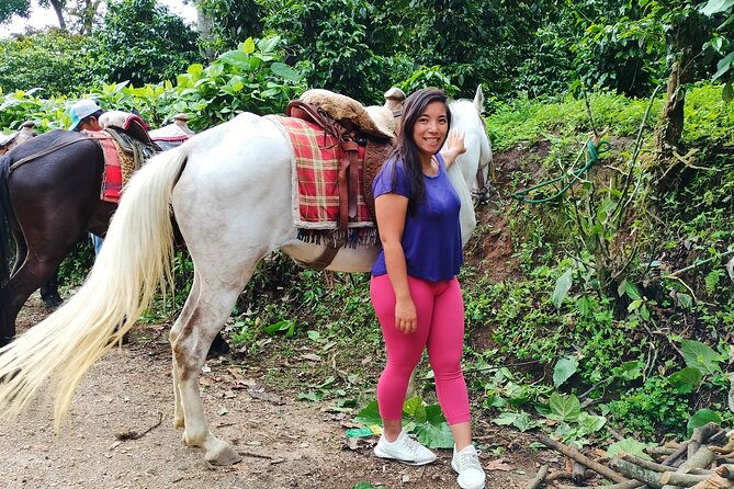 Horseback Riding Tour in San Pedro La Laguna - What the horses are really like